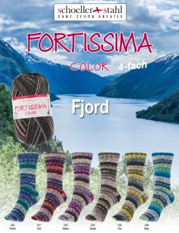 Fortissima Color - Fjord- 4fach 