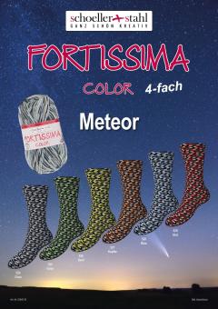 Fortissima Color - Meteor - 4fach 